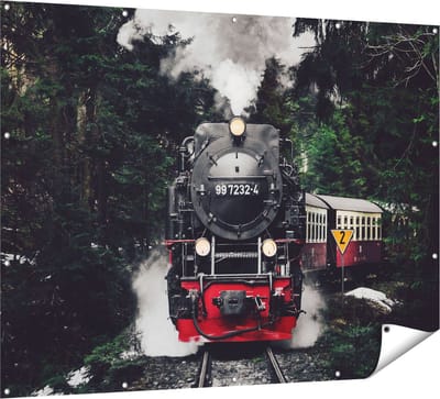 Gards Tuinposter Locomotief in de Bossen met Stoom Wolken - 160x120 cm - Tuindoek - Tuindecoratie - Wanddecoratie buiten - Tuinschilderij
