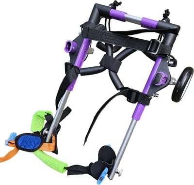 Hond rolstoel, Dogs wheelchair, hond rolstoel, dieren, rolstoel voor honden, hondbrace, hond, revalidatie hulp, disabled dog wheelchair, hond harnesses, handicap hond rolstoel, hond brace, rolstoel, hond ondersteuning, loophulp, rolstoel maat S.