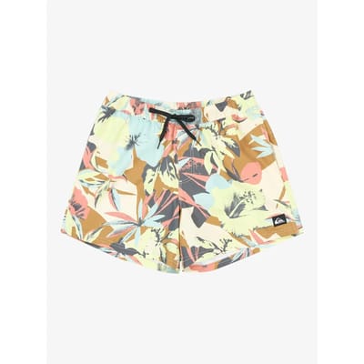 Quiksilver Everyday Printed Volley 15´´ Zwembroek Veelkleurig 2XL Man