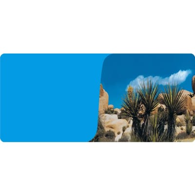2-zijdige poster 1 rol van 15 meter Reptiles Planet Desert/Bleu Terrarium