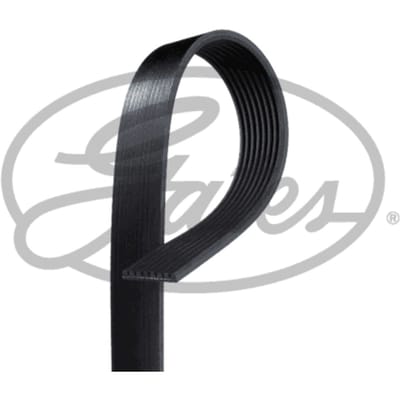 V-riem GATES 8PK1314SFHD