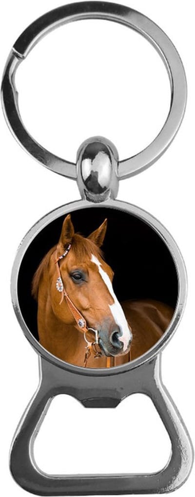 Bieropener Glas - Paard