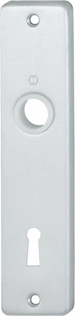 Renovatie Schild 378 185X42 Sl72 F1