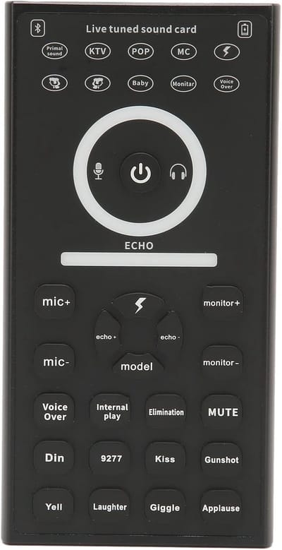 Draagbare Mini Stemvervormer voor Karaoke en Streaming