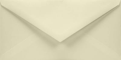 Enveloppen - Mailing enveloppen - Uitnodigingen versturen - Zonder venster - 50 stuks DL - Ivoor