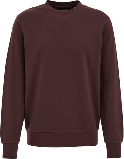 WE Fashion Heren regular fit sweater