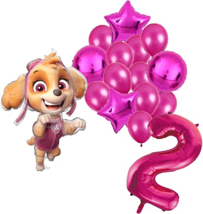 Paw Patrol Skye ballonnen pakket - 61x91cm - Folie Ballon set - Themafeest - Verjaardag - 2 jaar - Ballonnen - Versiering - Helium ballon