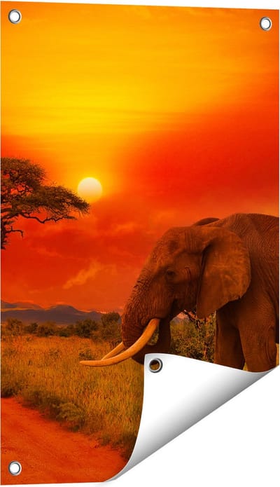 Gards Tuinposter Olifant in het Wild tijdens Zonsondergang - 40x60 cm - Tuindoek - Tuindecoratie - Wanddecoratie buiten - Tuinschilderij