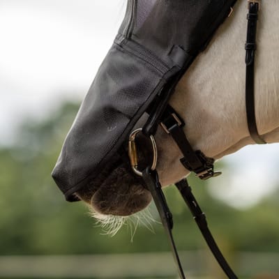 Busse vliegenmasker riding-Full