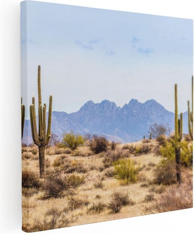Artaza Canvas Schilderij Cactus - 30x30 cm - Klein - Wanddecoratie Woestijn - Muurdecoratie Amerika - Schilderijen Op Canvas Bergen