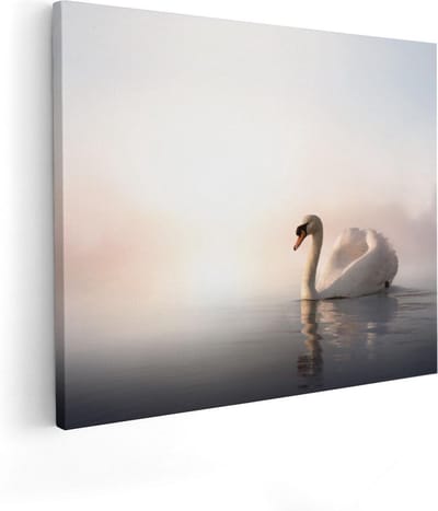 Artaza Canvas Schilderij Zwaan - 50x40 cm - Wanddecoratie Vogels - Muurdecoratie Woonkamer - Kamer Accessoires Zon