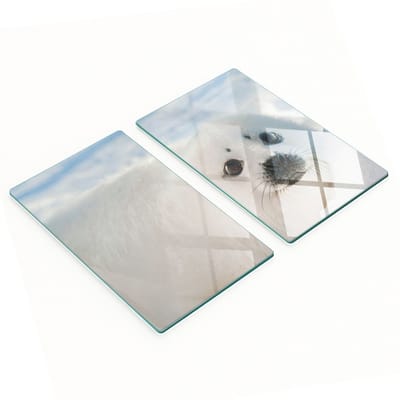Set van gehard glazen keukenplanken met zegelprint, 2x30x52 cm