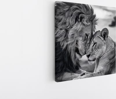 Saammp Canvas Schilderij - 2 Leeuwen - Liefdevol - Natuur - Dieren - 20x20 - Foto op canvas - Wanddecoratie - Muurdecoratie Woonkamer - Slaapkamer decoratie - Canvas Print