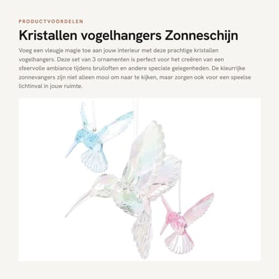 Dailygoods- Vogelhangers 3 stuks - Decoratieve Ornamenten - Acryl Zonnevanger - Hangende Decoratie - Tuindecoratie - Afmetingen 10x9,5x7 cm