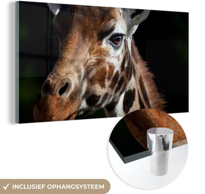MuchoWow® Glasschilderij 40x20 cm - Schilderij acrylglas - Giraffe - Licht - Zwart - Foto op glas - Schilderijen