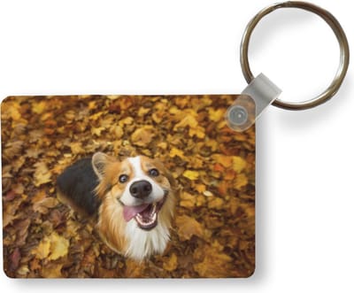 Sleutelhanger - Corgi in de herfst - Uitdeelcadeautjes - Plastic