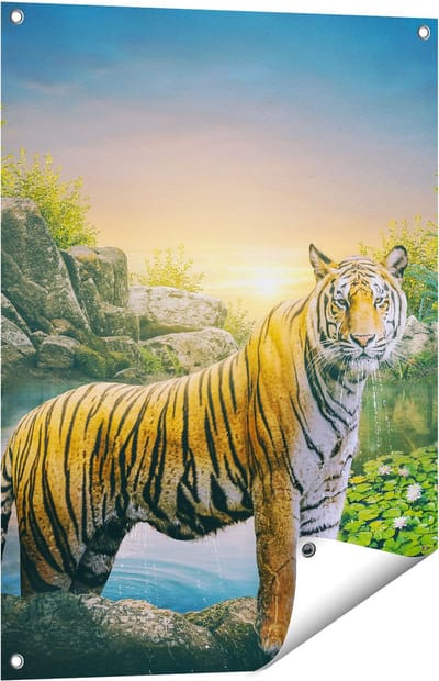 Gards Tuinposter Luipaard in een Vijver bij Zonsondergang - 60x80 cm - Tuindoek - Tuindecoratie - Wanddecoratie buiten - Tuinschilderij