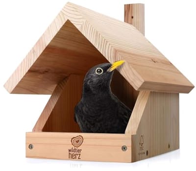 Nestkast voor Tuinvogels van Weerbestendig Massief Hout - Ideaal voor Roodborstjes, Merels en Meer