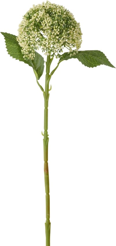 J-Line hortensia - kunststof - lichtgroen - 6 stuks