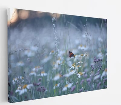 Saammp Canvas Schilderij - Vlinder in bloemenveld - Dieren - Natuur - 30x20 - Foto op canvas - Wanddecoratie - muurdecoratie Woonkamer - Slaapkamer decoratie - Canvas Print