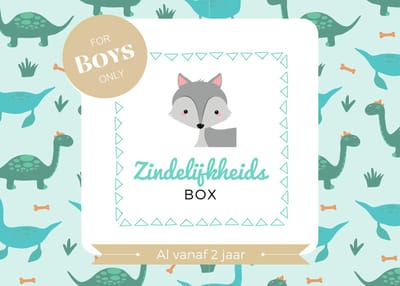 Zindelijkheidsbox - Jongen editie - Zindelijkheidstraining kind - vanaf 2 jaar - incl beloningssysteem - Jouw peuter zelfstandig naar het potje / wc - 120 stickers