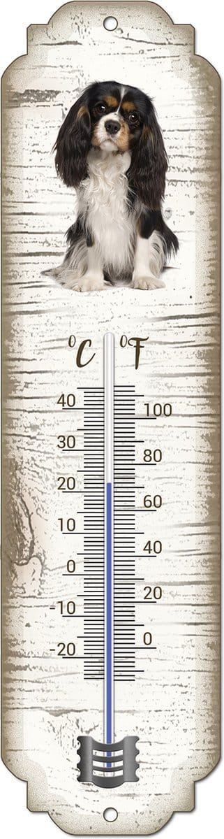 Thermometer: King Charles | Hondenras | Temperatuur binnen en buiten | -25 tot +45C