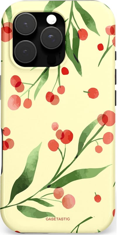 Casetastic hoesje geschikt voor Apple iPhone 16 Pro - MagSafe - Dubbellaagse bescherming - Watermeloen - Fashion Case - Crème Groen Koraal