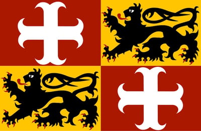 Vlag Aalter 200x300cm