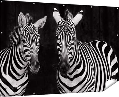 Gards Tuinposter Twee Zebra's - Zwart Wit - 180x120 cm - Tuindoek - Tuindecoratie - Wanddecoratie buiten - Tuinschilderij