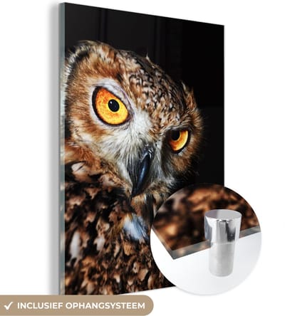 MuchoWow® Glasschilderij 90x120 cm - Schilderij acrylglas - Uil - Zwart - Geel - Foto op glas - Schilderijen