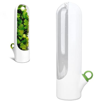 Dailygoods- Opbergdoos voor Kruiden - Verlengt Levensduur - Voorkomt Verplettering - Helder Venster - Geschikt voor Munt/Peterselie/Bieslook - Hoogte 25 cm - Kruidenhouder