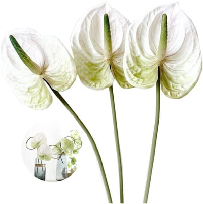 Allecto Plus - Kunstmatige anthurium lelie bloemen - Set van 3 stuks - Tropische imitatie plant - Voor tafeldecoratie - Bruids bruiloft - Festival decor - Wit - 26 inch