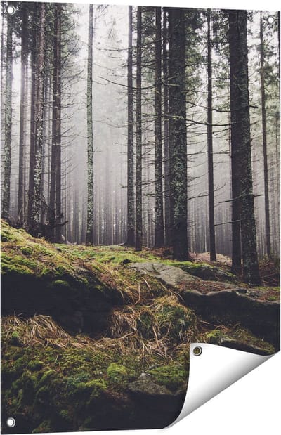 Gards Tuinposter Bos met Mos op Rotsen - 60x80 cm - Tuindoek - Tuindecoratie - Wanddecoratie buiten - Tuinschilderij