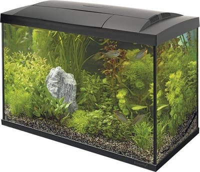 SuperFish Start 100 Tropical Kit Zwart