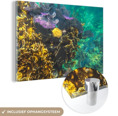 ® Glasschilderij 180x120 cm - Schilderij acrylglas - Kleuren in het water van Glover’s Reef - Foto op glas - Muurdecoratie woonkamer - Wanddecoratie slaapkamer - Schilderijen