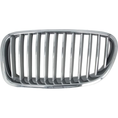 Radiatorrooster BLIC 6502-07-0067995P links