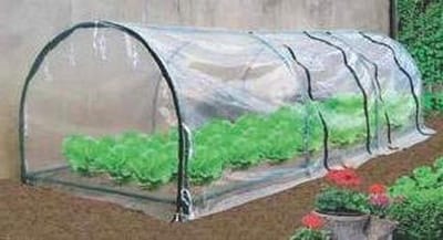 PE folie kas - Plastic folie plantentunnel - Bescherming planten - UV-bestendig - 2 x 10 m - Transparant