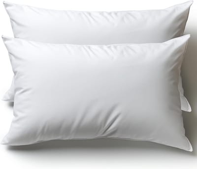 Kussen 30 x 50 cm, set van 2 sierkussens voor bed en bank, binnenkussen, hypoallergeen, zachte sierkussens met kussensloop, katoen en polyester, afneembaar en wasmachinebestendig