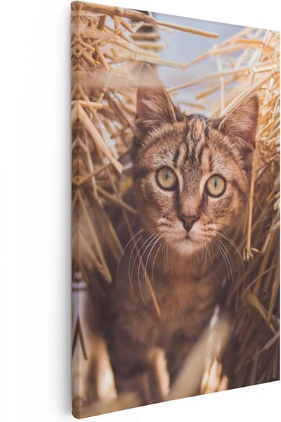 Artaza Canvas Schilderij Poes In Hooi - 20x30 cm - Klein - Wanddecoratie Katten - Muurdecoratie Dierenkop - Kamer Accessoires