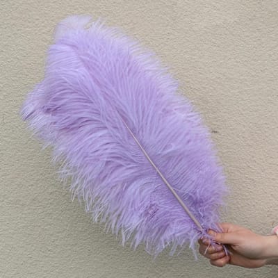 10 STUKS Licht Kaki Grote Struisvogelveren Bulk 15-60CM Lang Natuurlijke Pluizige Struisvogelveren voor Bruiloft Restaurant Vaas Decoratie 25-30cm 10-12inch lichtpaarse kleur