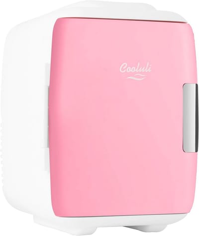 Draagbare Elektrische Minikoelkast en Verwarmer (4L) - Perfect voor Thuis, Kantoor en Onderweg