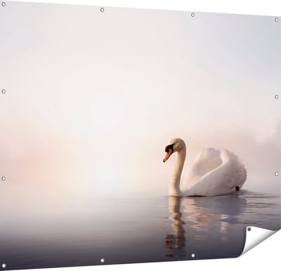 Gards Tuinposter Zwaan in het Water tijdens de Mist - 150x120 cm - Tuindoek - Tuindecoratie - Wanddecoratie buiten - Tuinschilderij