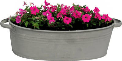 Mega Collections Teil/plantenpot/bloempot Farmer - ovaal - zink - donkergrijs - L29 x D21 X H12.5 cm