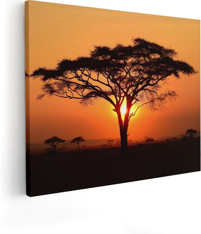 Artaza Canvas Schilderij Zonsondergang - 50x40 cm - Wanddecoratie Afrika - Muurdecoratie Boom - Kamer Accessoires Natuur