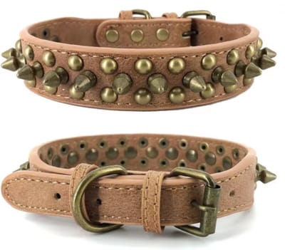 Luxe Leren Hondenhalsband met Studs | Honden Halsband met Gouden Studs | Bruin | Maat S | Premium Studs Hondenhalsband | Petshop Seven®