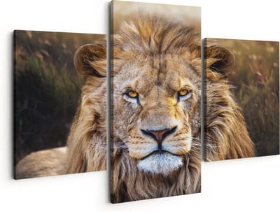 Artaza Canvas Schilderij Drieluik Leeuw in het Wild - Leeuwenkop - 150x120 - Groot - Foto Op Canvas - Canvas Print