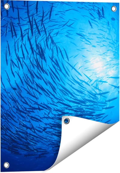 Gards Tuinposter Zwerm Vissen in de Oceaan - 40x50 cm - Tuindoek - Tuindecoratie - Wanddecoratie buiten - Tuinschilderij