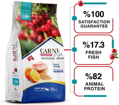 Carni Life Cranberry ANCESTRAL GRAIN FISH & ORANGE PUPPY MINI