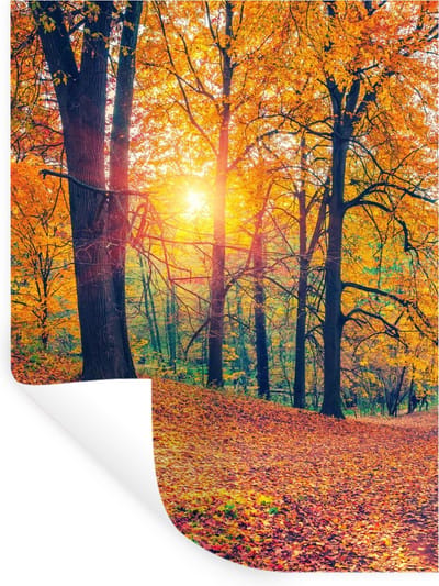 Muurstickers - Sticker Folie - Bomen - Herfst - Bos - Herfstbladeren - 30x40 cm - Plakfolie - Muurstickers Kinderkamer - Zelfklevend Behang - Zelfklevend behangpapier - Stickerfolie