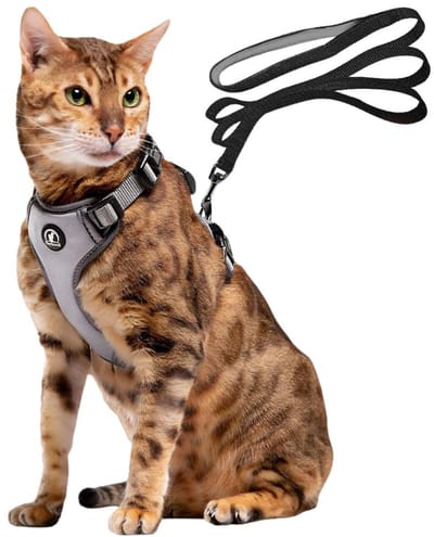 CLVP® Kattentuigje met Looplijn - Kattentuigje - Kattenharnas - Grijs